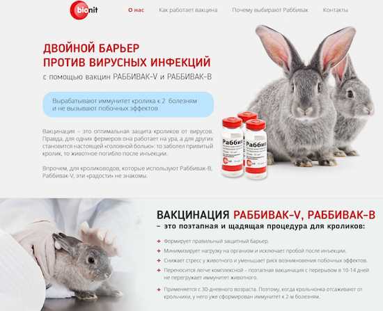 Как мы продавали вакцины для кроликов
