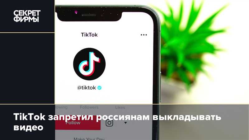 Крутой конкурент TikTok: видеосоцсеть Firework пришла на рынок РФ